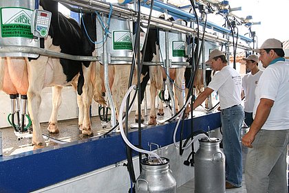 Produção baiana de leite cresce e atinge melhor resultado desde 1997