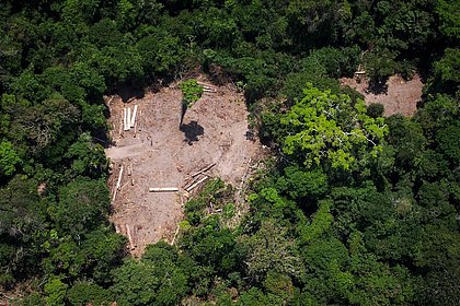 Sem militares, proteção da Amazônia fica a cargo de órgãos sem recursos