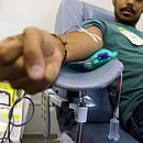No Brasil, cerca de 1,6% da população doa sangue