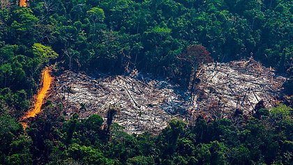 Governo exonera responsável por monitorar Amazônia no Inpe