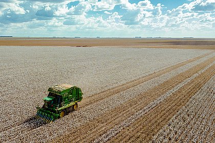 Produtores rurais do oeste ganham mais tempo para colher safra recorde de algodão