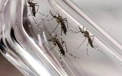 Casos de dengue crescem mais de 658% este ano na Bahia