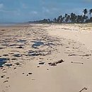 Manchas de óleo que atingem mar no Nordeste chegam na Bahia