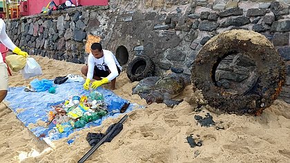 Duas tartarugas são encontradas mortas na Praia da Boa Viagem