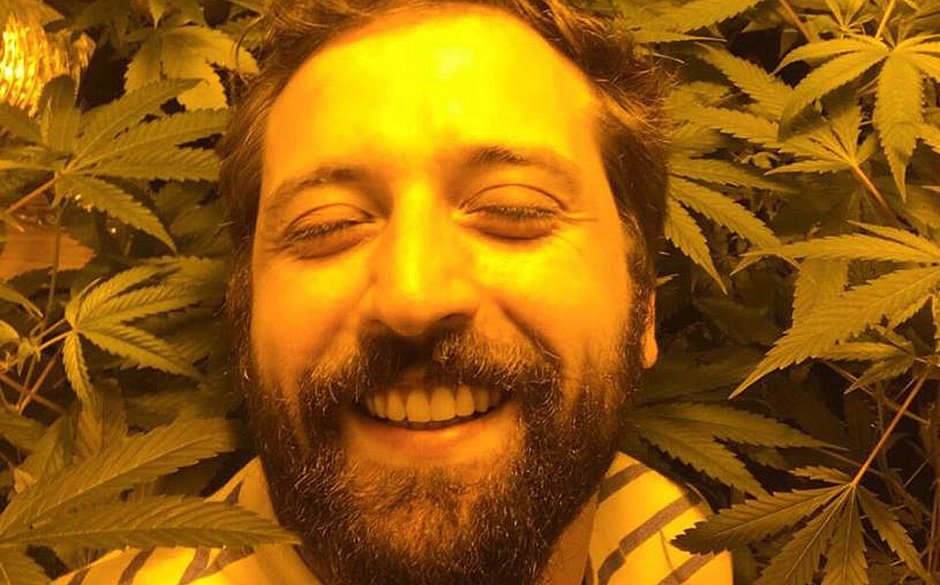 Gregorio Duvivier posta foto com plantação cannabis e diz: 'Não pago por  maconha faz tempo' - Jornal CORREIO | Notícias e opiniões que a Bahia quer  saber