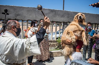 Fiéis levam animais para receber bênçãos no dia de São Francisco de Assis