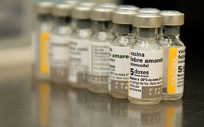 ‘População não vacinada’ no país é alto risco, diz OMS sobre Febre Amarela