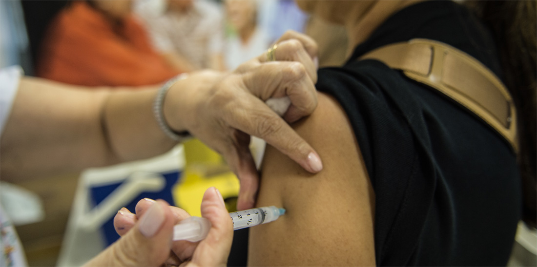 Posso Tomar Vacina Da Febre Amarela Tomando Antibiotico