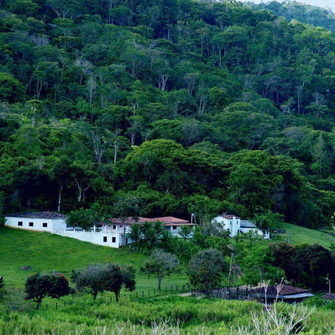 40 hectares de mata nativa foram preservados ao redor do Hotel Fazenda Princesa Ester, em Iguaí.